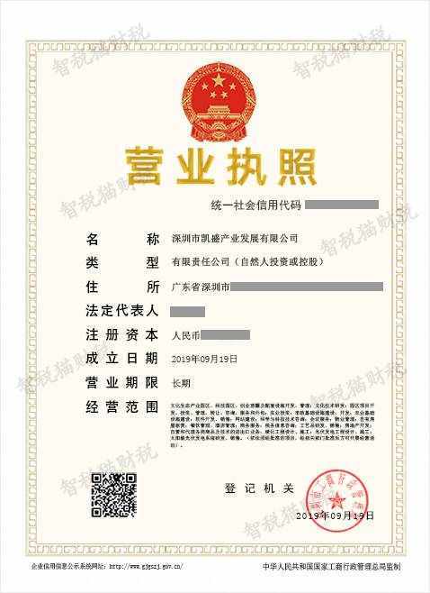 服务案例 公司注册代办案例 公司注册代办案例-深圳市凯盛产业发展